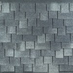 kate2-1675990538